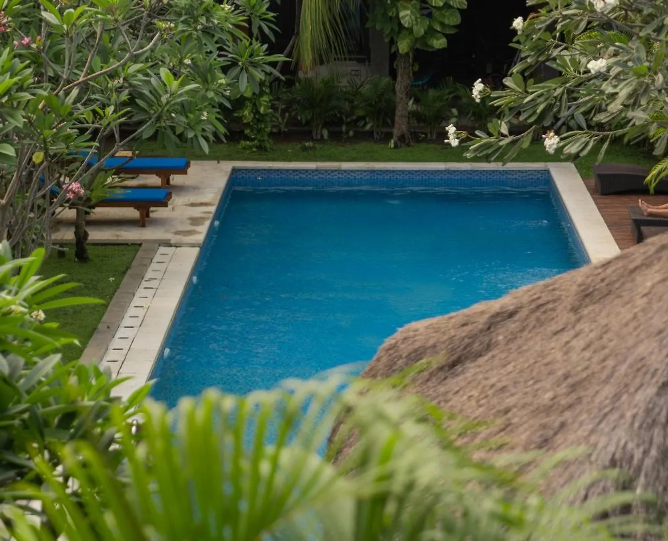 Easy Surf Camp Hotel Kuta