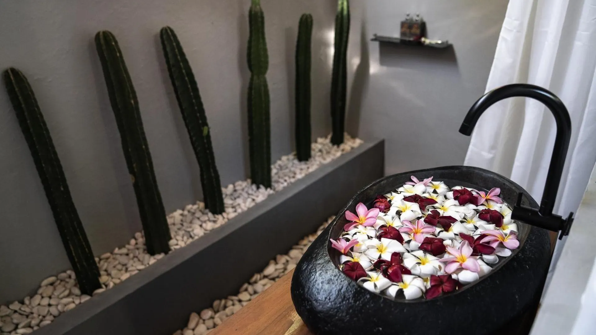 ***  Easy Surf Camp Hotel Kuta  Indonesia