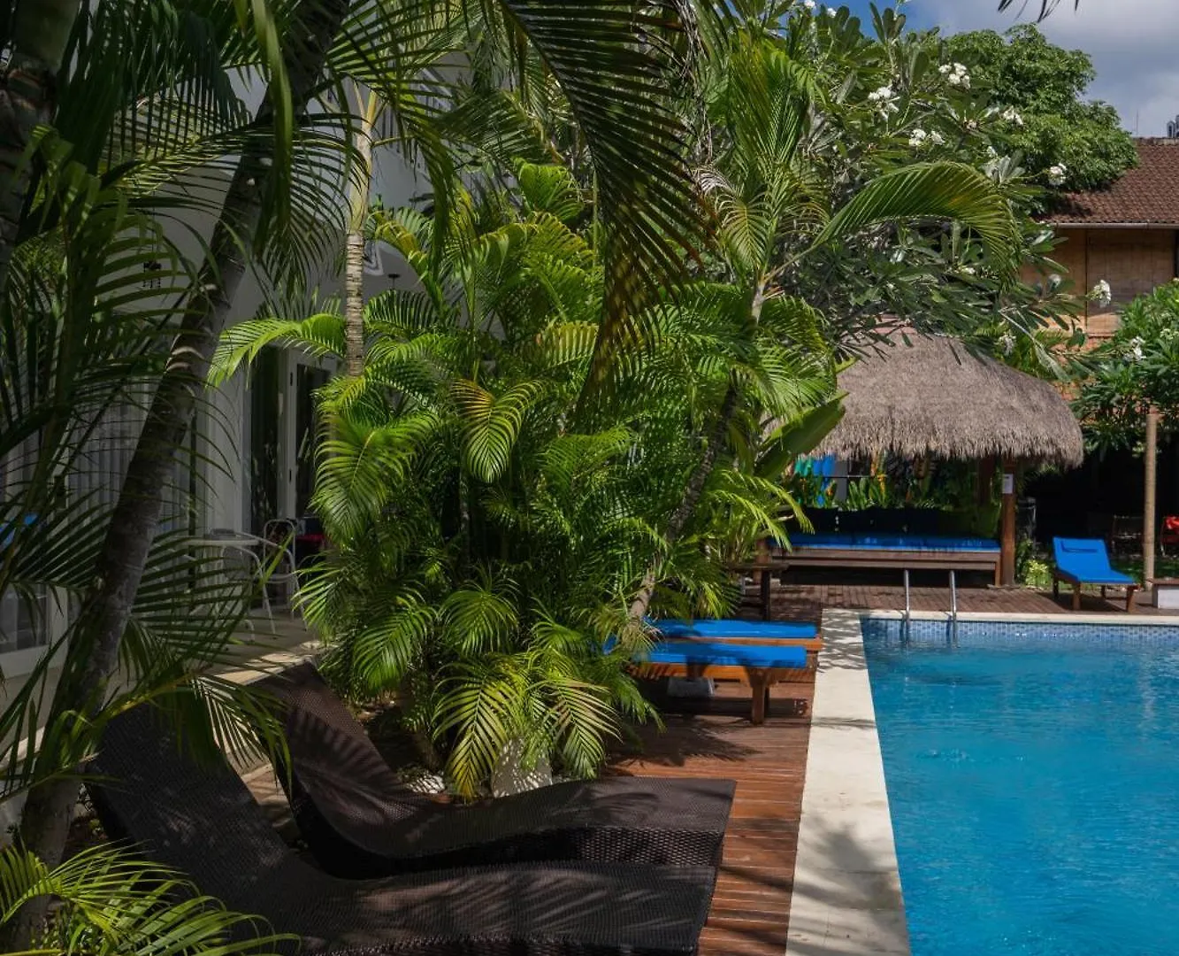Easy Surf Camp Hotel Kuta  3*, Kuta (Bali) Indonesia