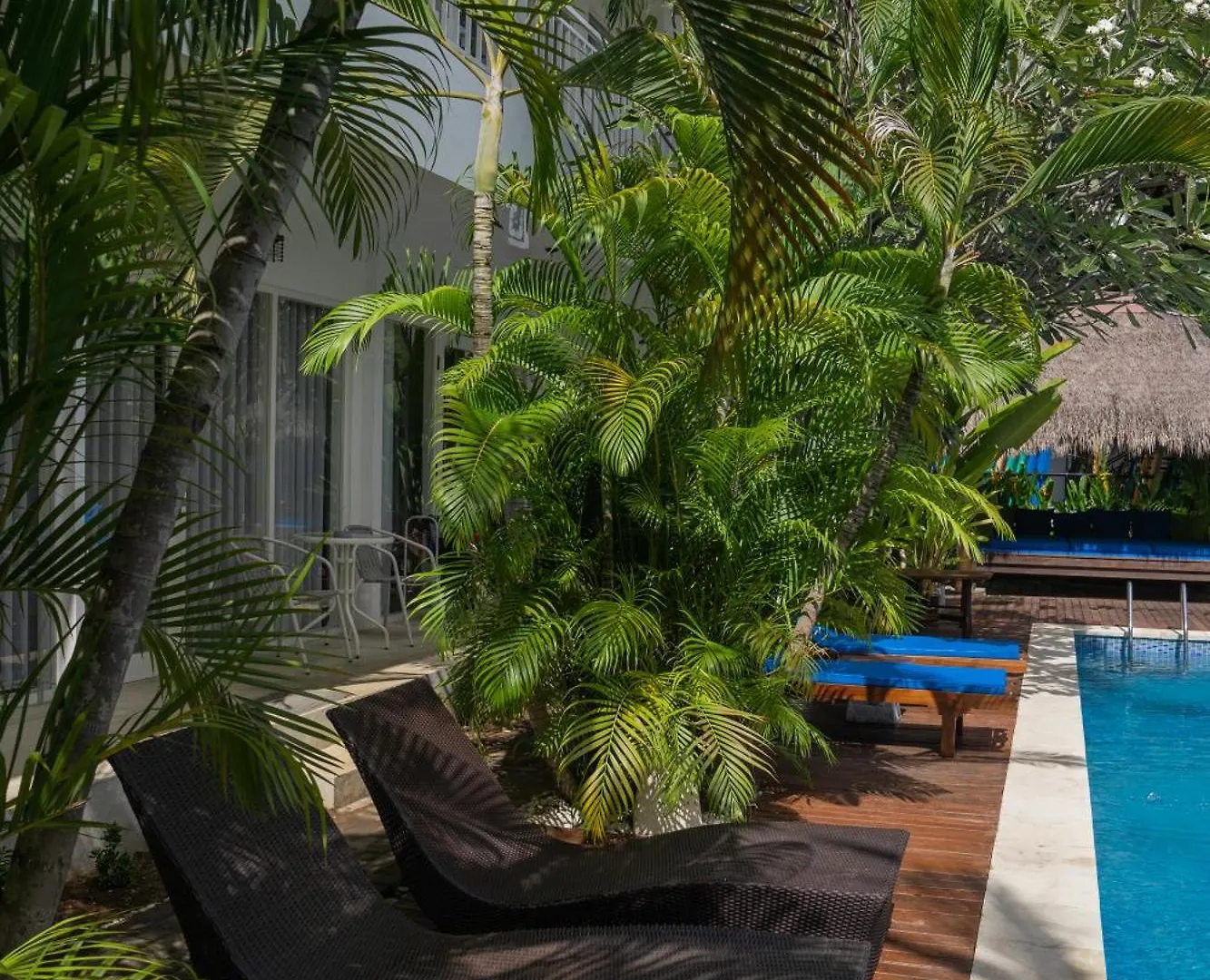 ***  Easy Surf Camp Hotel Kuta  Indonesia